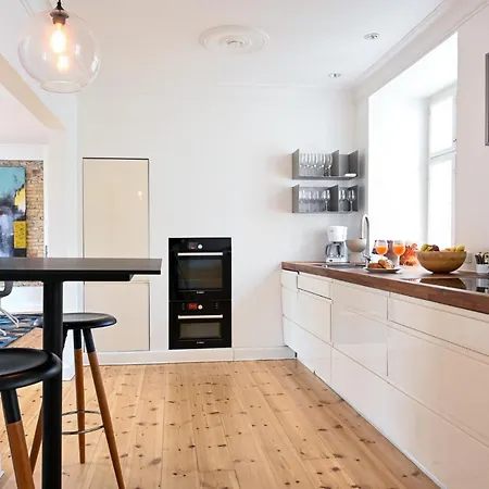 Fantastic Duplex With Modern Danish Design Furniture