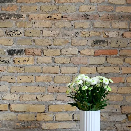 Fantastic Duplex With Modern Danish Design Furniture *